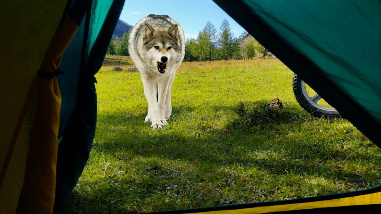 My Scariest Travel Moment