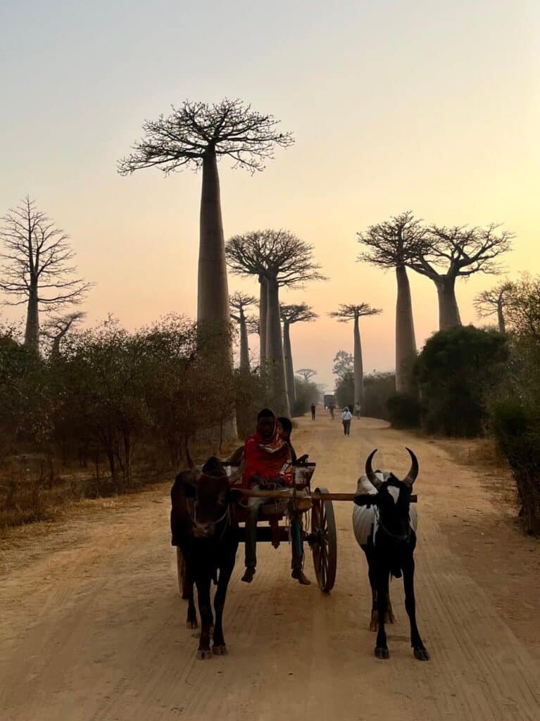 Road in Madagascar